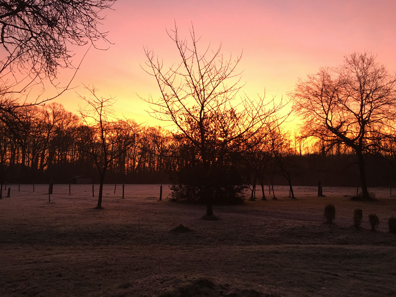 Fotogalerij Landgoed Den Schooten Winterswijk