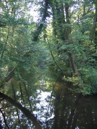 Fotoarchief Landgoed Den Schooten Winterswijk