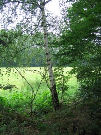 Fotoarchief Landgoed Den Schooten Winterswijk