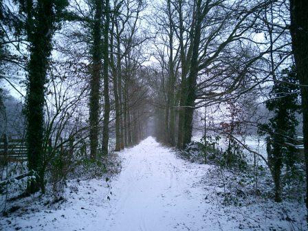 Fotoarchief Landgoed Den Schooten Winterswijk