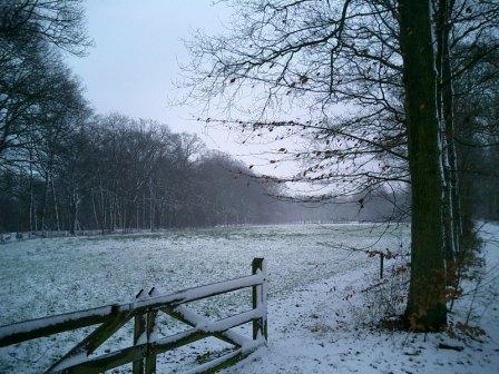 Fotoarchief Landgoed Den Schooten Winterswijk