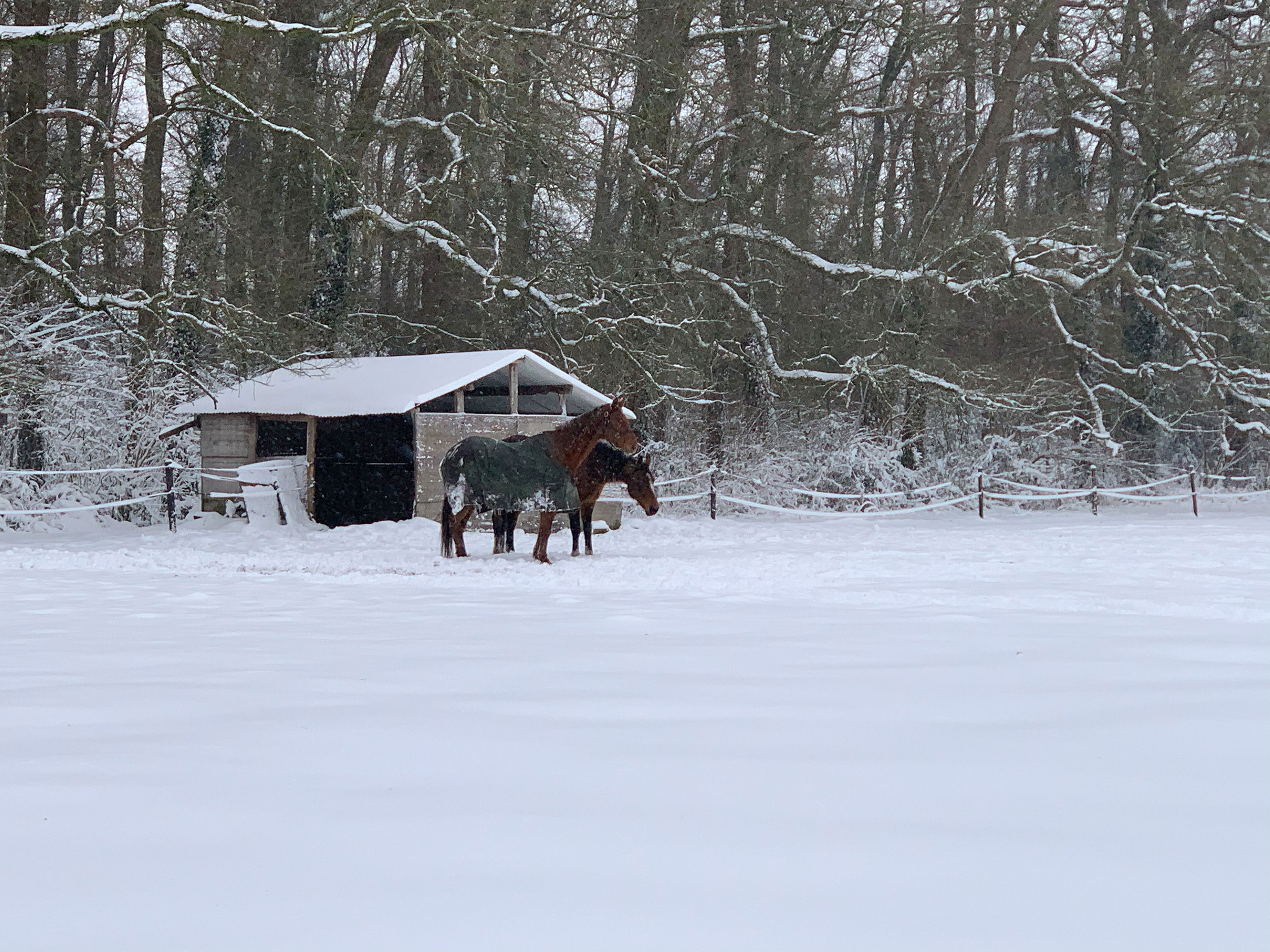 Landgoed Den Schooten Winterswijk